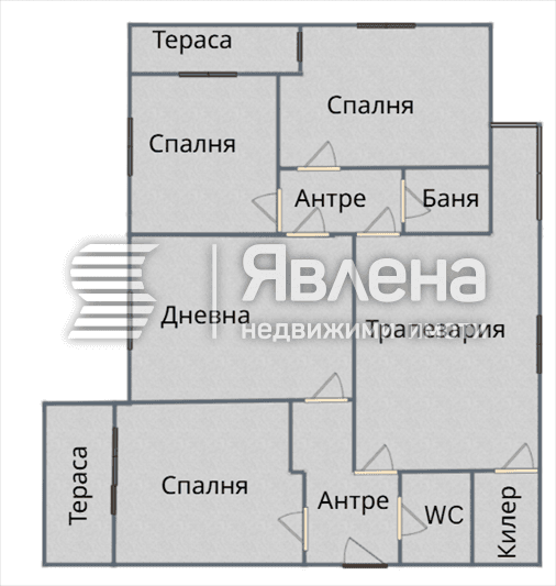 Разпределение