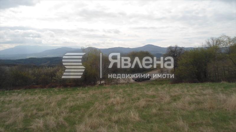 локация