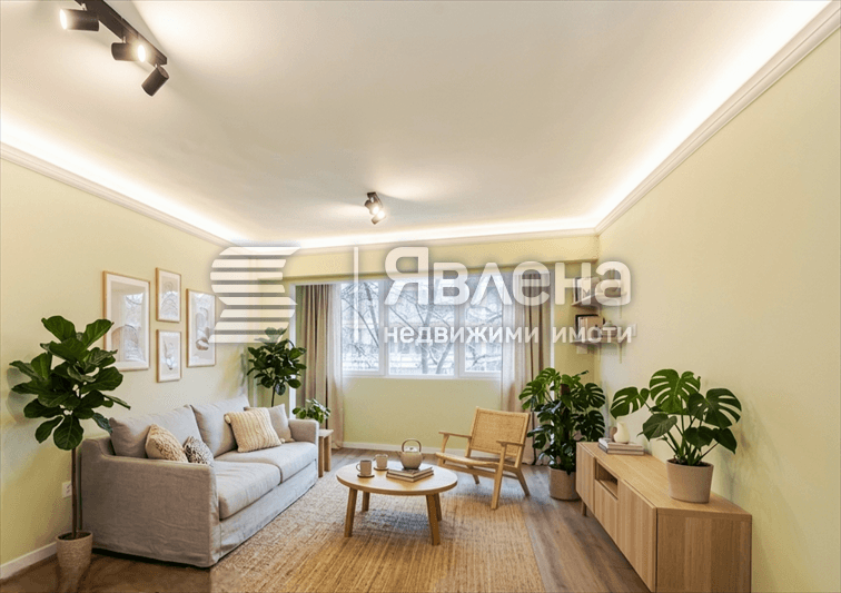 Визуализация