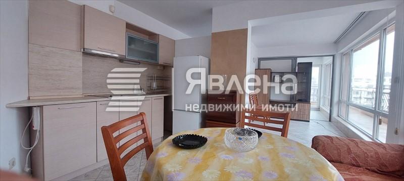 стая