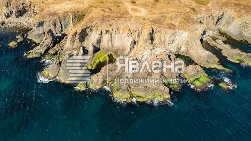 Резово първа линия