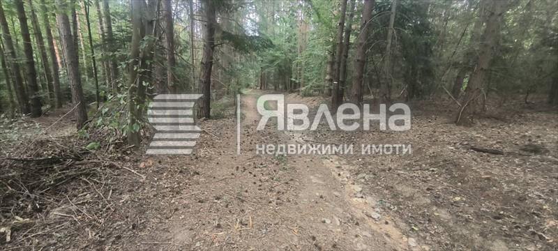 Парцел до Долно Окол