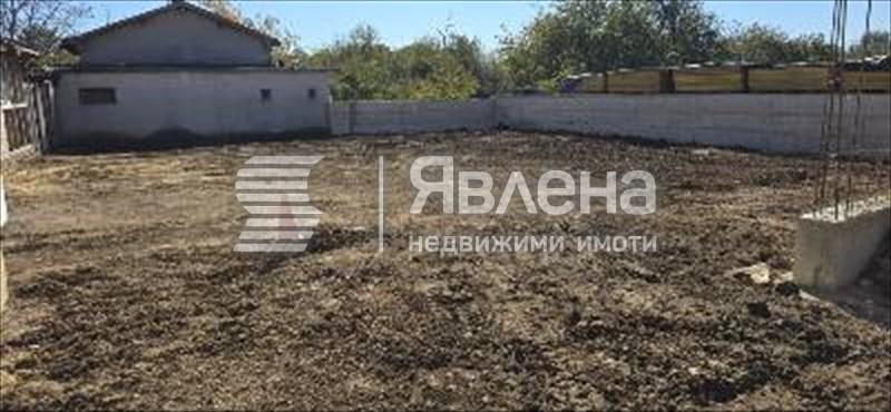 дворно място