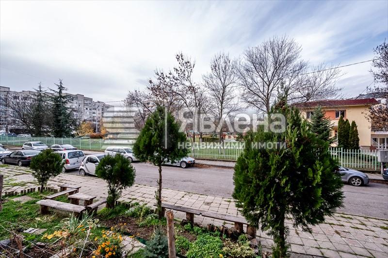 Панорамен изглед