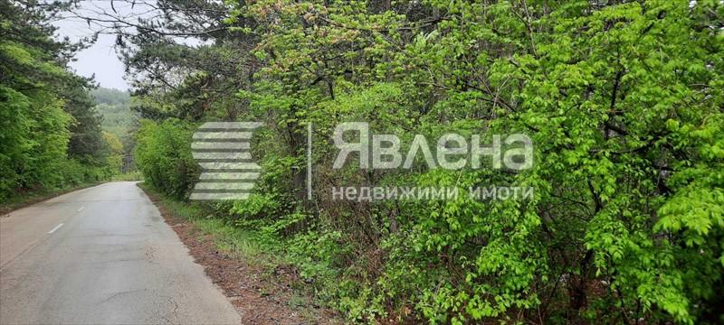 Главен път