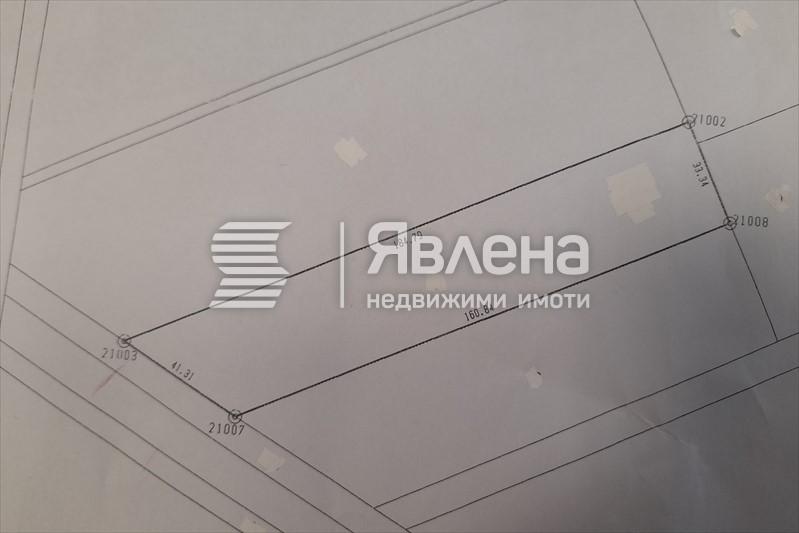 скица