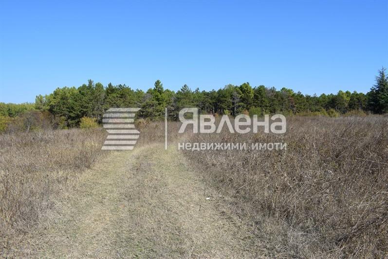 достъп до парцела