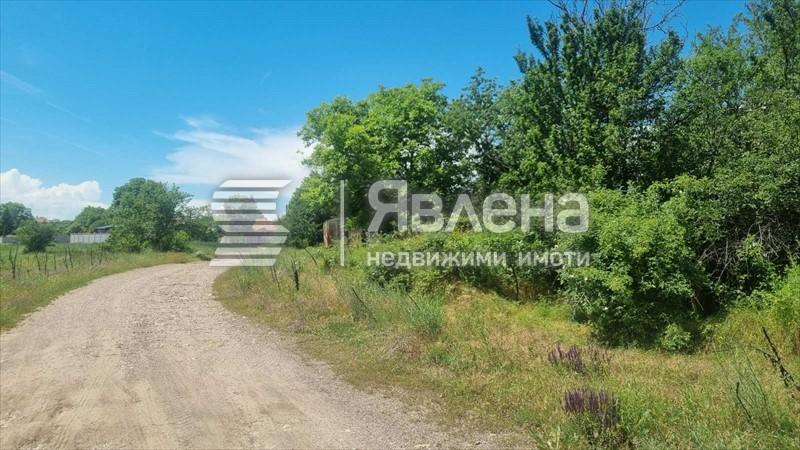 лице към улицата
