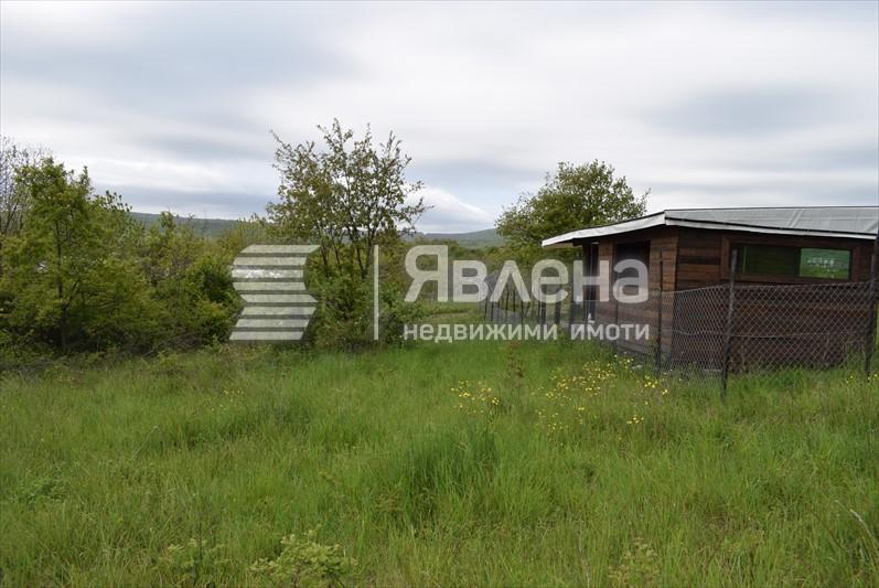 парцел