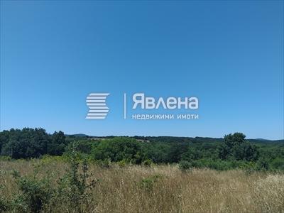панорама