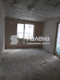 студио