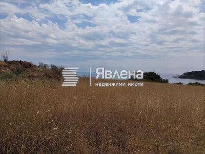 парцел