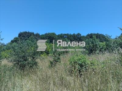 парцел
