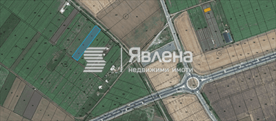 лозе