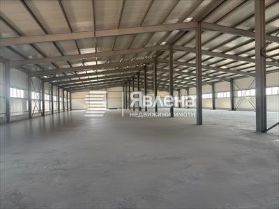 близка снимка на халето