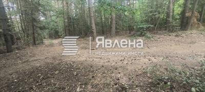 Парцел до Долни Окол