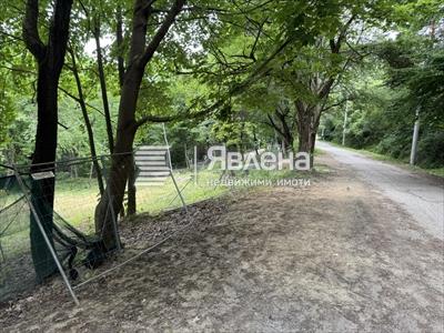 Парцел Бояна