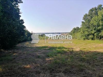 парцел