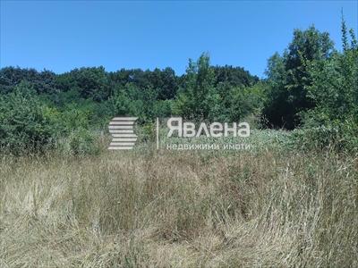 парцел