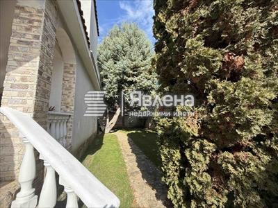 дворно място