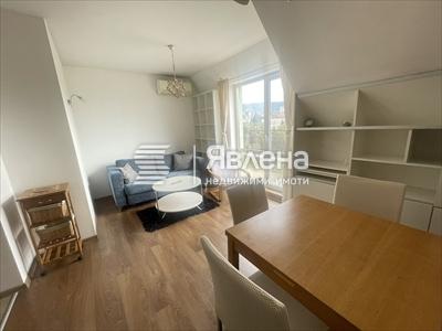 Дневен тракт