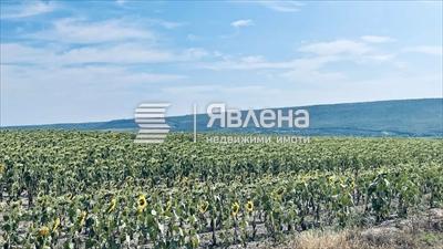 панорама