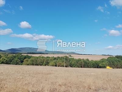 панорама