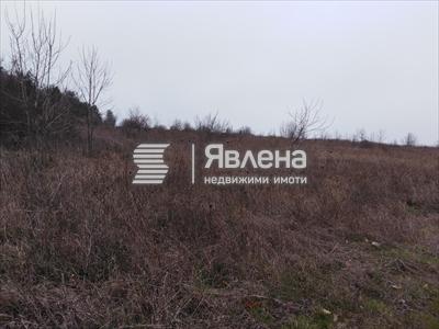 парцел