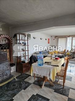 Дневен тракт