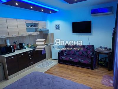 стая