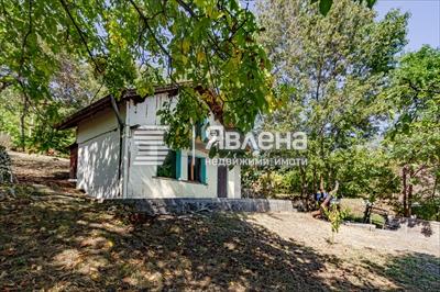 Панорамен изглед