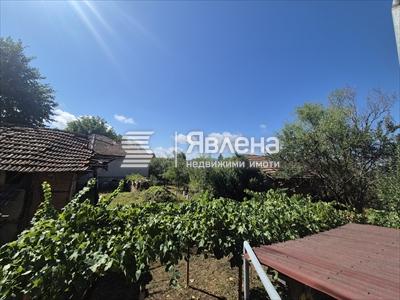 дворно място