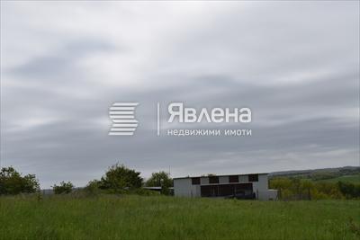 панорама