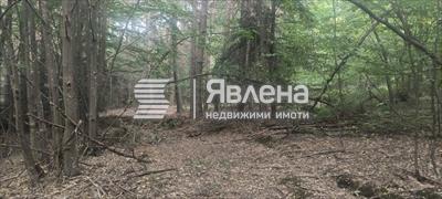 Парцел до Долни Окол