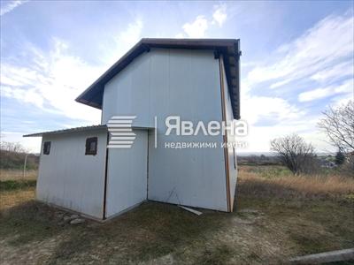 гръб