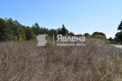 парцела