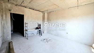 стая