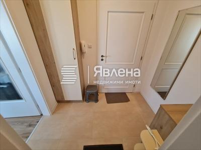 входно антре