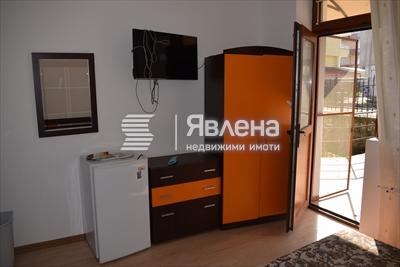 стая